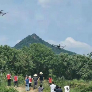 為保護百萬畝板栗，羅田出動15架無人機噴藥