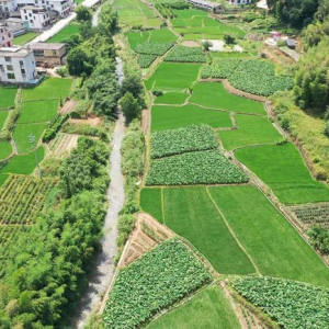 福建連城莒溪鎮(zhèn)— 無人機(jī)巡河護(hù)河治理