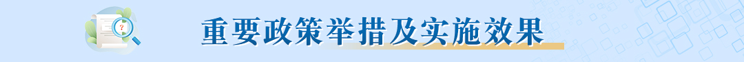 重要政策舉措及實(shí)施效果